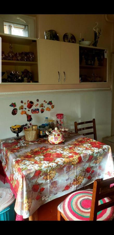 Guest House Dodo Kazbegi Exterior foto