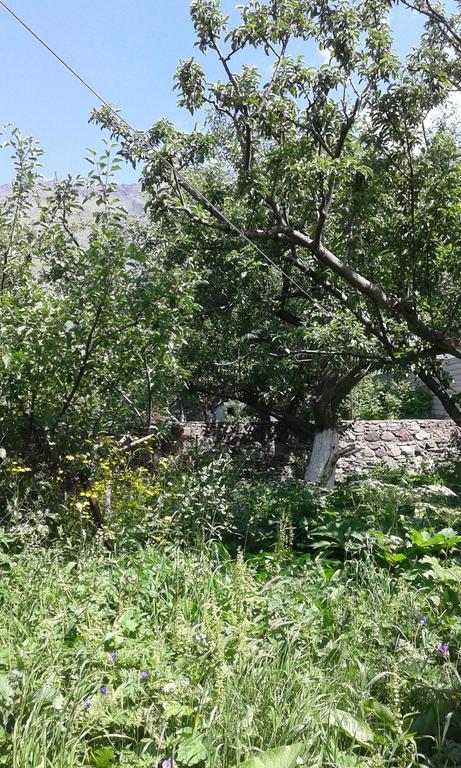 Guest House Dodo Kazbegi Exterior foto